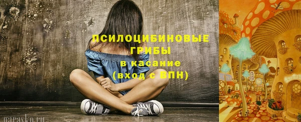 сатива Алексеевка