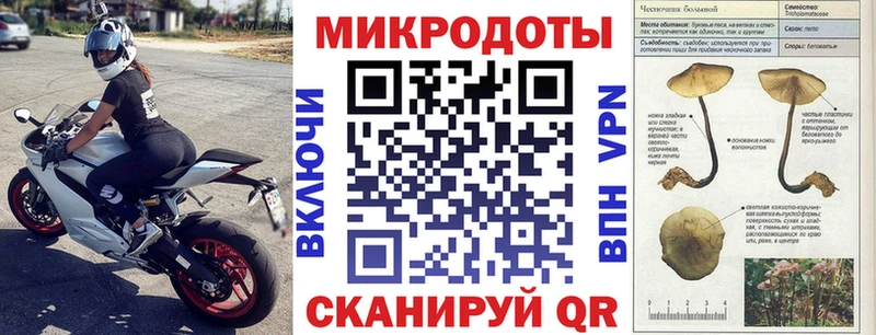 Псилоцибиновые грибы мухоморы  Дудинка 